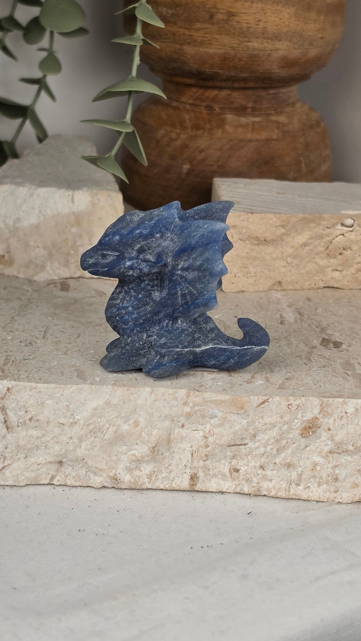 Winged Baby Dragons
