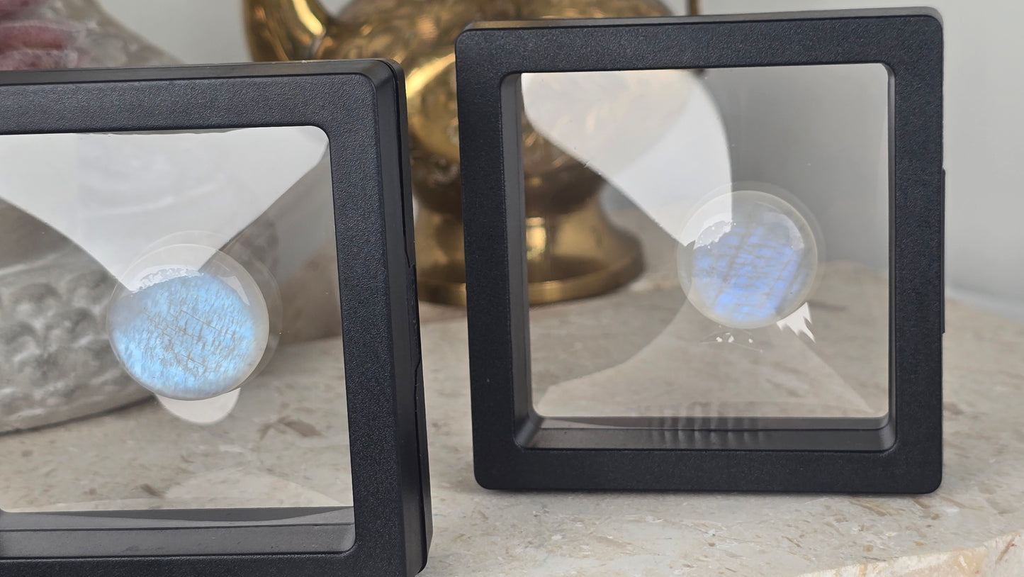 Collectors Grade Blue Flash Moonstone Cabachon