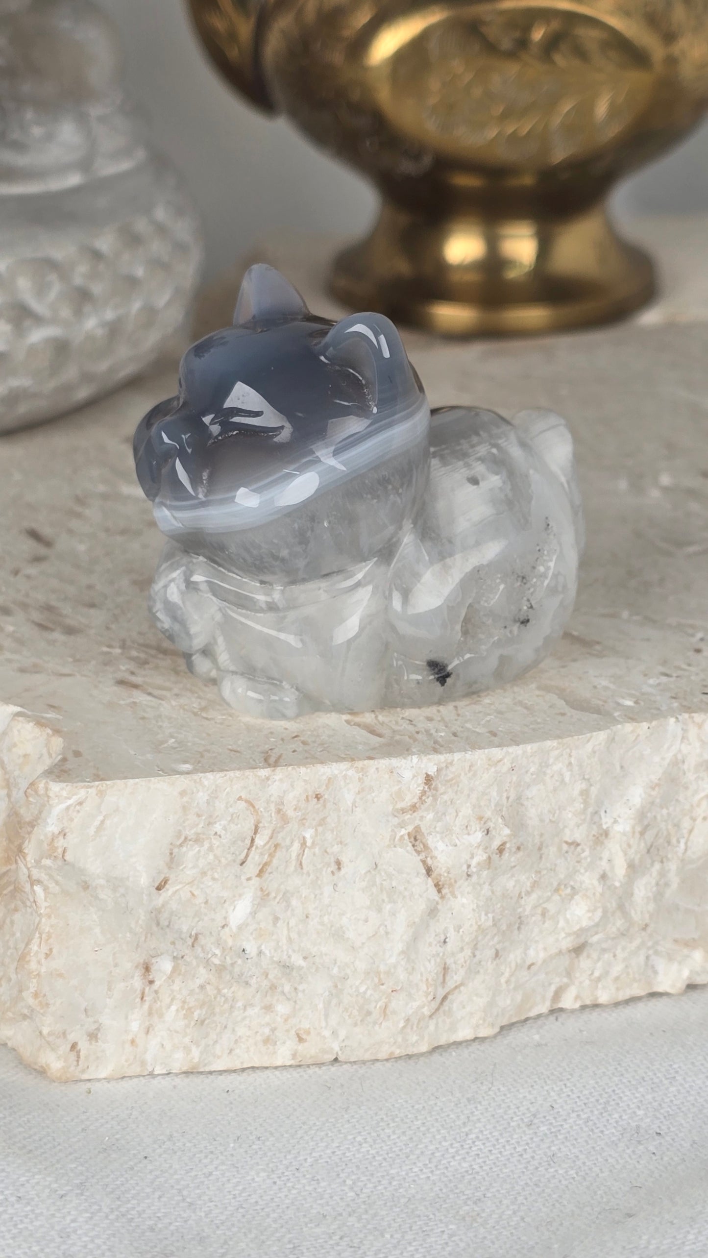 Agate Cat