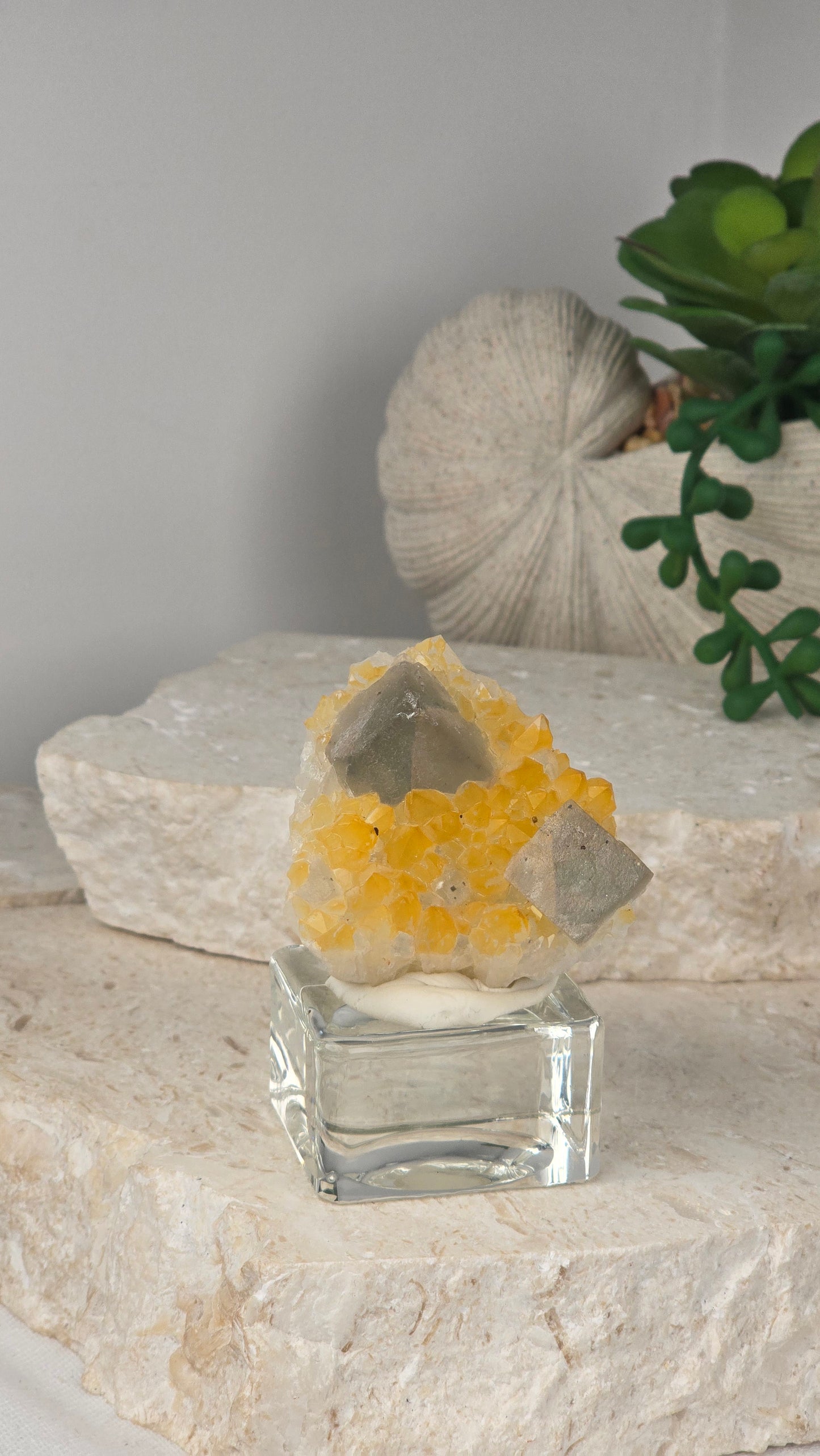 Pakistan Green Fluorite on Yellow Quartz