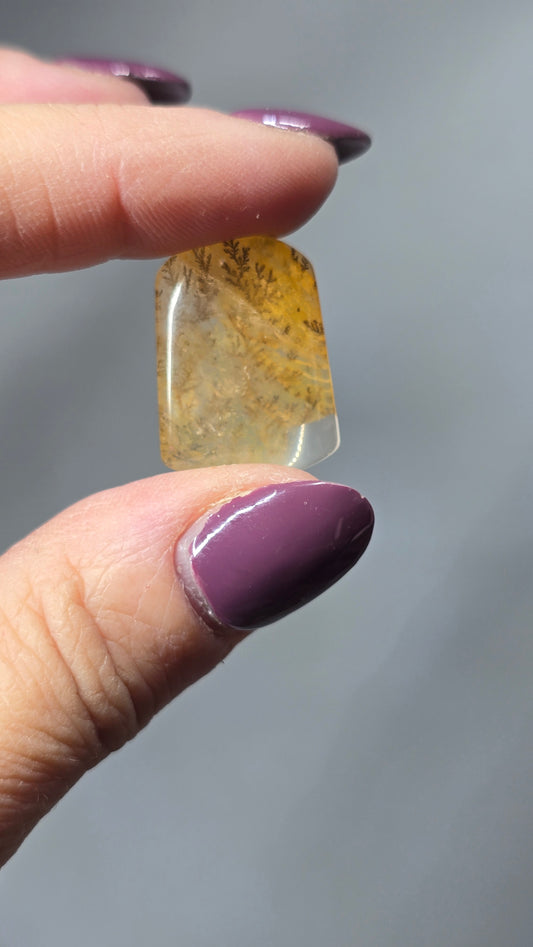 Collectors Grade Dendritic Quartz Cabachon